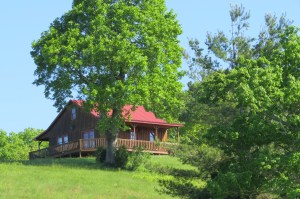 Bland Cabin may 2013