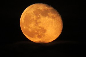 Bland moon with craters may 2013