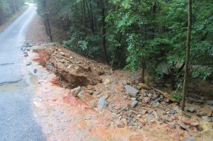 Where are the trees? What happened to the erosion paper?