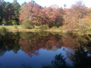 little-glade-mill-pond-with-gorgeous-reflection