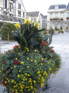 Troyes - Flowering pots