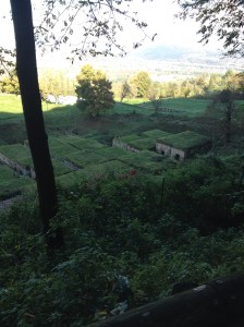Orvieto - Etruscan tombs